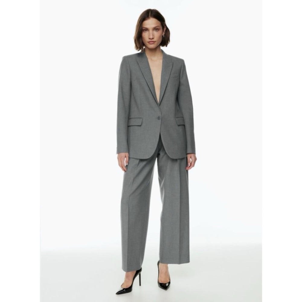 nwot Babaton Revue pant 4 relaxed leg